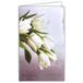 Afie 14-625 ARGUS Condoléances kaart met witte envelop