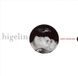 Amor Jacques Higelin Amor Doloroso-Nouvel Album