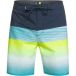 Quiksilver Short de bain Surfsilk Panel 18