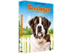 Beethoven - L'intégrale Dvd