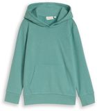 Tom Tailor Hoodiesweatshirt met print op de rug - Maat 104/110 - Salvia