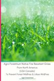 Agro Forestrium Native Fire Resistant Grass From North America (USA Canada) To Prevent Forest Wildfires & Urban Wildfires: Paperback Edition