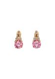 Gaya Oorbellen pink
