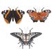 Best for Birds Papillons muraux - Décoration murale de jardin - 31x6x27 cm Assorti