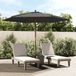 Maison Exclusive Parasol avec mât en bois, anthracite, 299x240 cm
