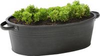 Mega Collections Farmer Plantenpot - Ovaal - Zink - Zwart - L25 x D18 x H11 cm