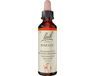 NELSONS GMBH Bach Original Bach-Blüten Nr. 20 Mimulus Gefleckte Gauklerblume Tropfen, 20 ml Lösung