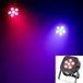 Ayra ComPar 10 LED spot - 5-in-1 RGBAW - Blanc
