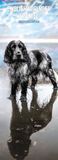 Engelse Springer Spaniel 2027 Slim Kalender