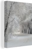 OneMillionCanvasses Canvas schilderij 120x160 cm - Winter - Bomen - Multicolor - Modern - Wanddecoratie