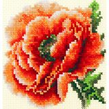 Magic Needle 150-012 ZW Klaprozen kruissteekset met telpatroon Zweigart Edition, katoen, meerkleurig, 11x11cm