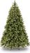 National Tree Company Poly Bayberry sapin de Noël artificiel illuminé - 243 cm - Vert