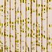 Partydeco Pailles - papier - 30x - rose poudré/or - 19,5 cm - pailles