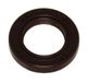 Oil Icecat Oil seal