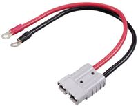 TRU COMPONENTS Hoogstroom-batterijstekker naar M6-ringoog TC-12195688 Zwart, Rood