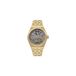 Ingersoll Herenhorloge Analoog Automatisch Bruin/Blauw Staal