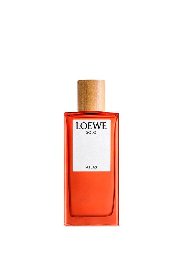 Loewe Eau de Parfum / 100 ml / Men