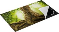 Chefcare Inductie Beschermer Grote Boom in het Bos met Wortels - 90x55 cm - Multicolor