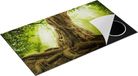 Chefcare Inductie Beschermer Grote Boom in het Bos met Wortels - 90x55 cm - Multicolor