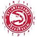 Iconic Puzzles NBA AtlantaHawks-M Houten puzzel, meerkleurig, M, 270 stuks