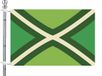 Achterhoek flag with flagpole set - green - 90 x 150 cm - party