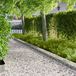 vidaXL Gazonrand 10 st 103 x 20 cm staal zilver