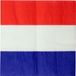 Santex Frankrijk landen thema servetten - 20x - blauw/wit/rood - 3-laags papier - 33 x 33 cm