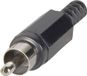 TRU COMPONENTS 1578855 Cinch-connector Stekker, recht Aantal polen: 2 Wit 1 stuk(s)