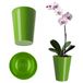 KADAX Pot de fleurs, pot d'orchidée élancé, jardinière simple, pot de fleurs pour orchidée, nid d'abeille, marguerites, pot de fleurs pour cuisine et salon (diamètre 13 cm, rond, vert)