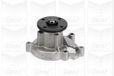 Graf PA978 Waterpomp