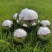 gexuamz Roestvrij stalen tuinbal spiegelgepolijst holle bal gesorteerd zilveren vijverballen - reflecterende gazing bal voor tuin mini vijver decoraties 50/100 mm