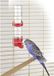 Kerbl Water en voerautomaat 15cm 65ml