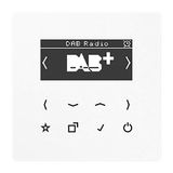 Jung Smart Radio DAB alpine wit, DAB LS WW