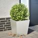 Maison Exclusive - Jardinière 40 x 40 x 40 cm en acier inoxydable