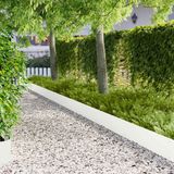 vidaXL Gazonrand 10 st 103 x 25 cm Staal Wit