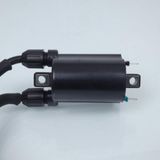 Sifam HT Bobine voor Motor Honda 1000 CBF F 2006-2012 Nieuw