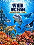 Wild Ocean: 100 Ocean Animal Up Close