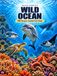 Wild Ocean: 100 Ocean Animal Up Close