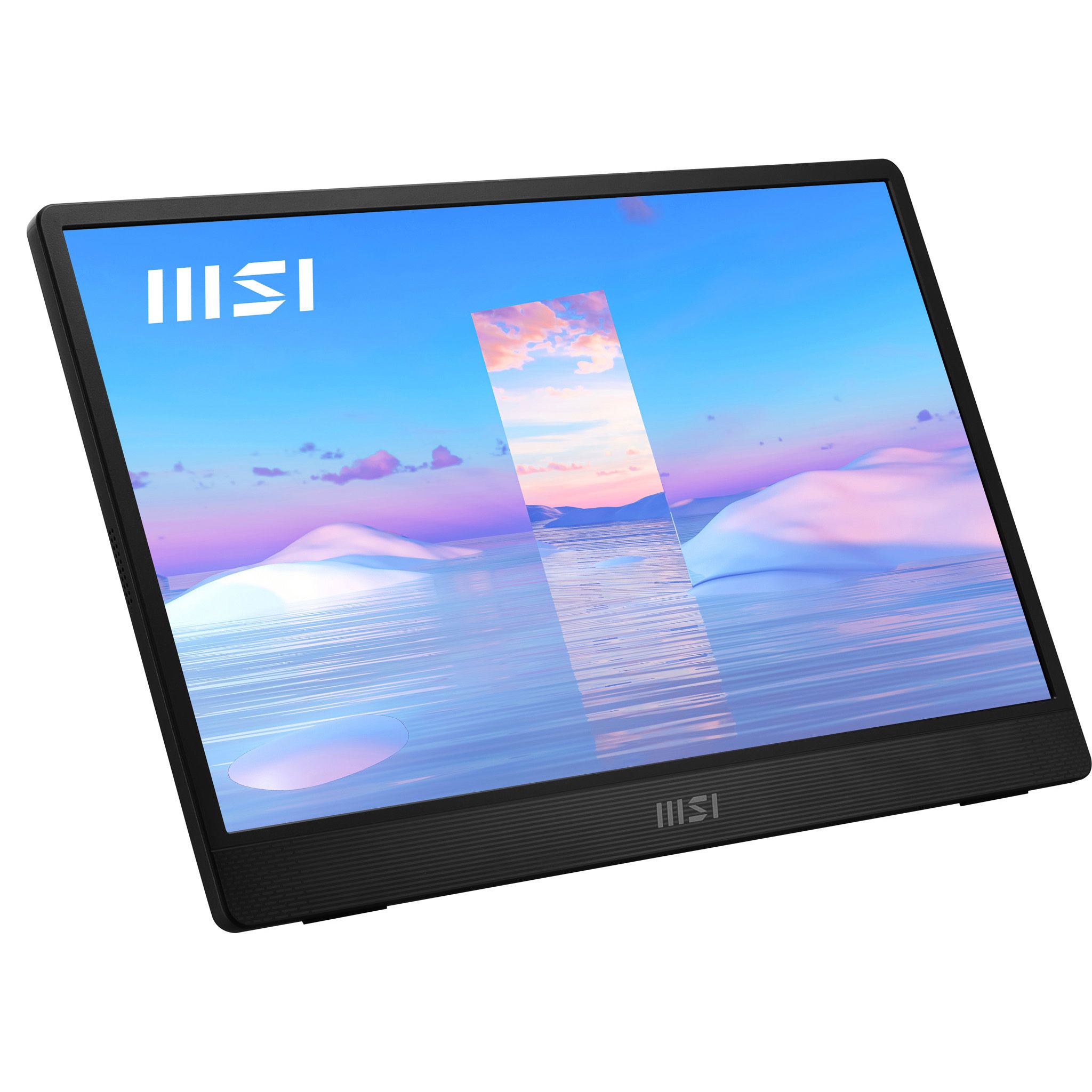 MSI Pro MP161 15.6" Full HD IPS Monitor