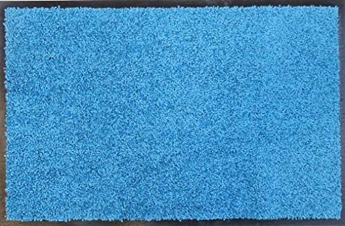 ANRO Poet Deurmat, vuilvangmat, tapijtloper, schoonloopmat voor binnen en buiten, hal, entree, blauw, 100 x 240 cm