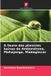 A Edicoes Nosso Conhecimento A fauna das planícies baixas de Ambondrona, Mahajanga, Madagáscar