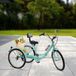 Corvance B.V. Tricycle – Vélo à trois roues – 7 Vitesses – Cadre en acier – Cadre pliable - Vert
