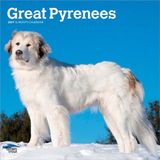 Great Browntrout Publishers Great Pyrenees - Pyrenäenberghund 2027 - 16-Monatskalender