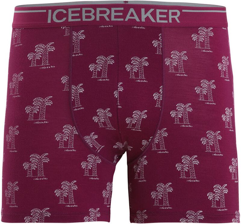 Icebreaker Anatomica Zwemboxers Heren - Violet - S