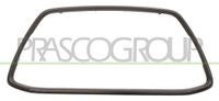 PRASCO Rahmen, Kühlergitter MB7182306 | Compatibel met: MITSUBISHI ASX