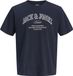 JACK & JONES JUNIOR - JJEDENVER LOGO TEE SS O-NECK SN JNR Jongens T-shirt