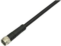 BKL Electronic 2700003 Câble de connexion capteur/actionneur M8 Nombre de pôles (capteurs) : 4 Coupleur, droit 2 m 1 pièce(s)