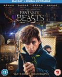 Warner Home Video Fantastic Beasts And Where To Find Them Blu-ray