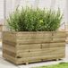 Maison Exclusive - Jardinière 90x60x49,5 cm, en pin imprégné