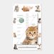 Hobbit - Calendrier de couverture 2027 - calendrier de 2 semaines - avec stylo et cordon de suspension - 34 x 21cm - Chat